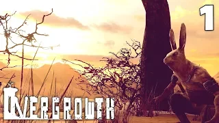 Месть кролика ✣ Overgrowth #1