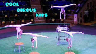 Performance in the circus. Acrobats - equilibrists on hands (walking sticks) - "Space gymnasts".