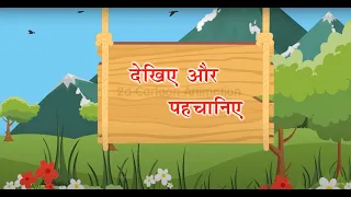 Dekhiye aur Pahchaniye II Swar In Hindi | Varnamala Geet Hindi | Alphabet Song | Kids Songs