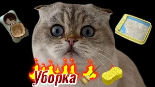 Уборка 🧹