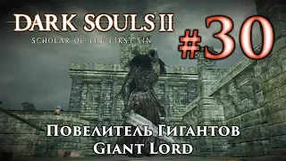 Повелитель Гигантов: Dark Souls 2 / Дарк Соулс 2 - тактика как убить, как победить босса ДС2