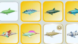 how find all dolphin skins in Animal Simulator: Underwater