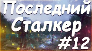 S T A L K E R  Последний Сталкер Part 12 Зачистка Поляны. Обсидиановый нож для Бармена. Реаниматор