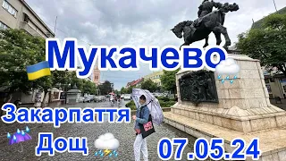 ДОЩ на ЗАКАРПАТТІ⛈️ТЮЛЬПАНОВІ ДЕРЕВА 🌷МУКАЧЕВО в ТРОЯНДАХ🌹7.05.2024🫶🏻🇺🇦