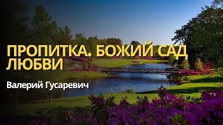 Пропитка. Божий сад Любви.