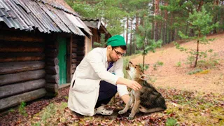 Осиротелый волчонок прыгнул в руки к молодому врачу в надежде на спасение, у него не было выбора