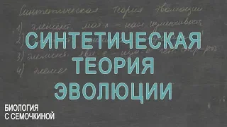 Синтетическая теория эволюции