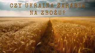 Ukraiński rolnik, agroholding, budżet państwa - kto zarabia na ukraińskim zbożu?