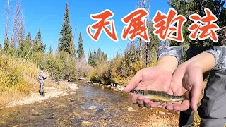 【100 Fishing Methods】Tenkara fishing, a powerful method in creek fishing