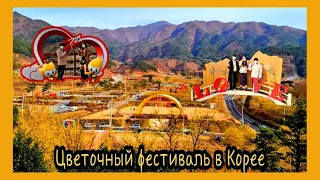 [Kuku Korea] Весенний фестиваль цветов в Корее / Первые весенние цветы в Корее / KOREA VLOG