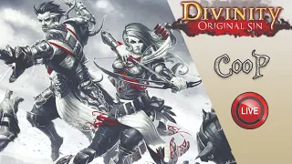 Divinity: Original Sin прохождение ► Церковь, #15