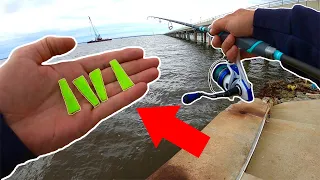 Using Fake CUT BAIT!! SURPRISING Results!!