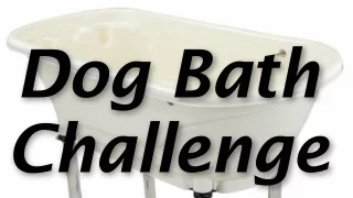 Dog Bath Challenge