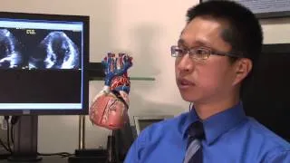 Dr. Vincent Sorrell and Dr. Steve Leung Discuss Cardiac Imaging Techniques at Gill