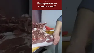 Лучший рецепт сала