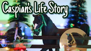 Life Stories - Caspian's Story - |Schleich Horse Mini Movie Series|