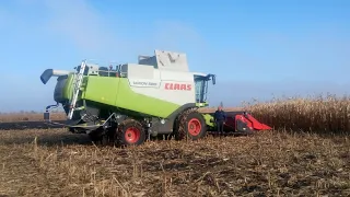 Технология уборки кукурузы снегом Claas Lexion 580 & Fendt 936 Vario & МТЗ 892 EGRITECH Harvesting