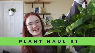 plant haul #1 | Etsy and Home Depot!