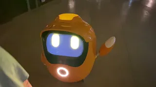 EXPO 2020 - Opti, the Wall-e cousin robot