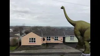 Brachiosaurus spotted