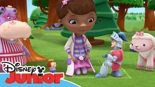 Dottoressa Peluche - Ospedale dei giocattoli - Alla ricerca di Ser Kirby - Dall'episodio 102