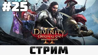 Divinity: Original Sin 2 | Не правильный мёд #25