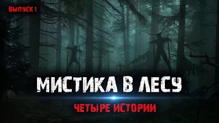Мистика в лесу (4в1) Сборник №1.