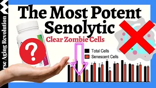 The MOST Potent Senolytic Which Also Activates Longevity Genes | Dr David Sinclair & Dr Kaufmann