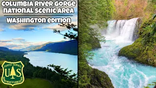 Columbia River Gorge National Scenic Area | Washington Edition - Best Waterfalls & Overlooks (2023)
