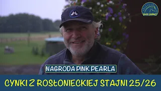 Cynki Adam Wyrzyk 25 i 26 dzień wyścigowy Nagroda Pink Pearla Tor Służewiec