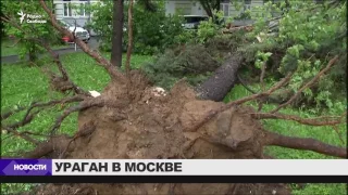 Последствия урагана в Москве