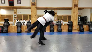 Techniques from Professor Wally Jay