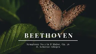 Ludwig van Beethoven - Symphony No.2 in D Major, Op. 36 - II. Scherzo-Allegro