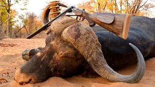 Gunner hunts Buffalo in Zimbabwe, filmed by African Sun Productions