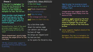 Caged Bird —  Maya ANGELOU: Detailed Analysis and Video Annotation