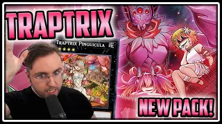 Endless Advantage with NEW Easy to Play Traptrix! [Dkayed Ranked Duels] [Yu-Gi-Oh! Master Duel]