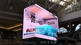 Innovocean partners with Adidas x Parley for #RunForTheOceans campaign