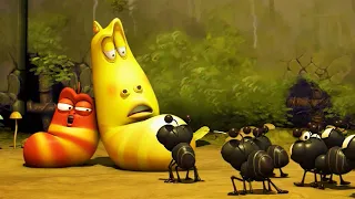 THE ANTS! | LARVA | Cartoons for Kids | WildBrain Kids