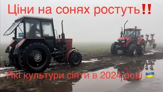 Сонях подорожчав 🌻‼️ Які культури сіяти цього року❓Чи робити ставку на сою 🫘❓Ціни на С/г продукцію