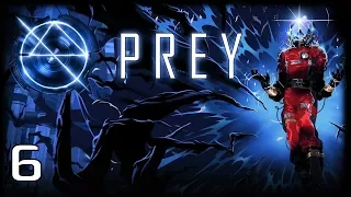 Prey - Путь таинственной Декабрь