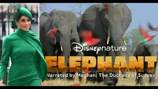 Meghan, Duchess of Sussex, to voice Disney film 'Elephant'