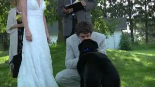 Dog delivers rings at wedding