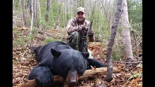 BIG Black Bear Hunt