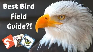 Best Bird Field Guides | Birds of North America