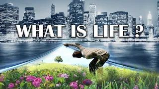 What is Life? (Messages After the Grave Series Session 9) Emerson Ferrell