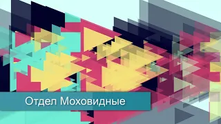 "Отдел Моховидные", Биология 7 класс, Сивоглазов