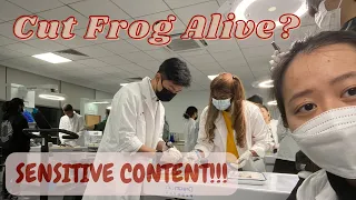 Frog Dissection| Nanjing Medical University
