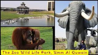The Zoo Wild life Park | Umm Al Quwain | Private Zoo | Must Visit place 👌