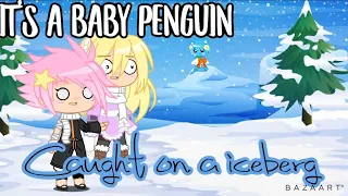 There’s a baby penguin, caught on a iceberg | original |