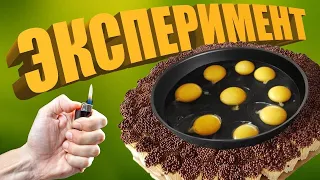 🍳Яйцо vs спички 10000 штуки  проста супер 🔥🔥🔥🔥🔥 Эксперимент